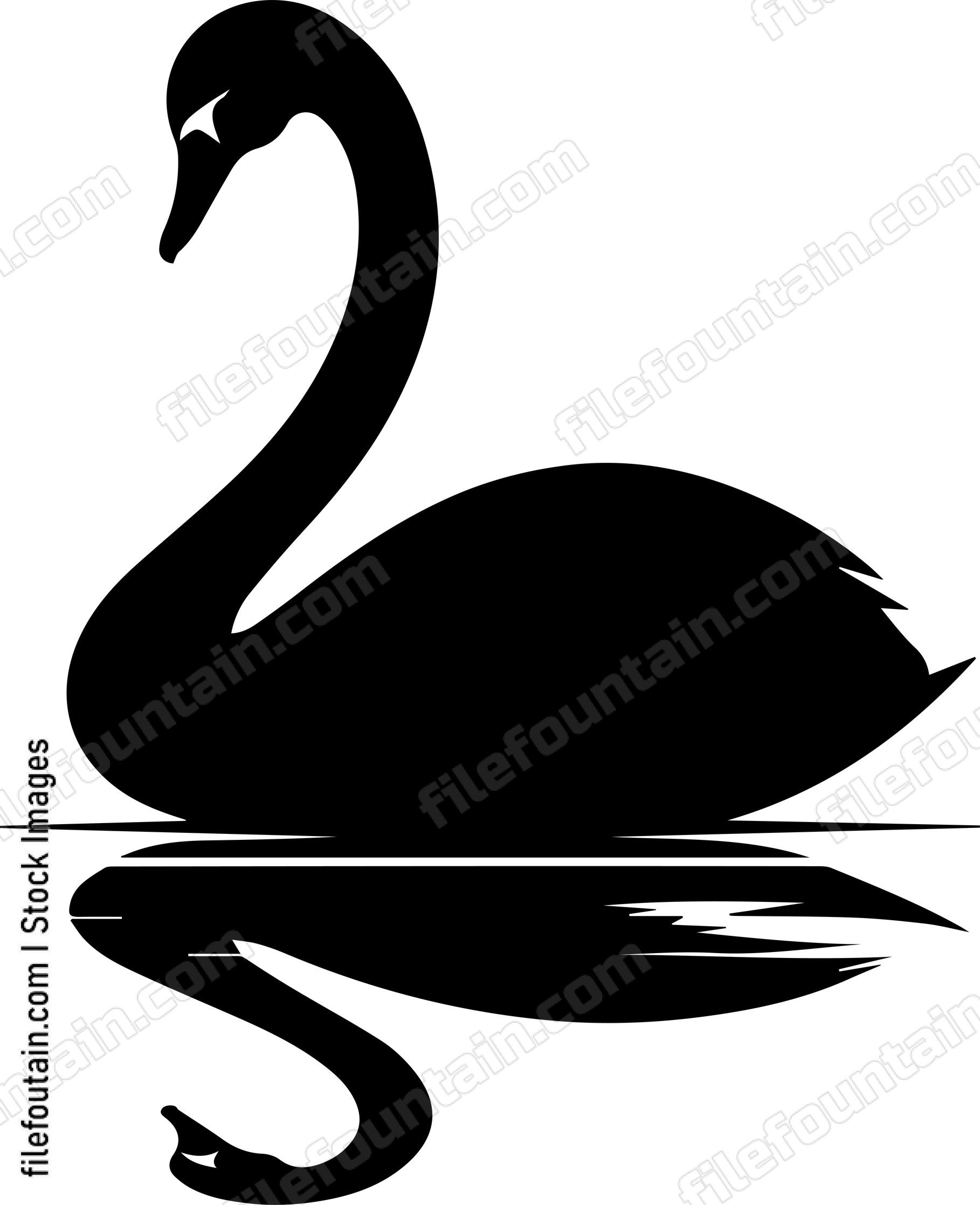 Swan