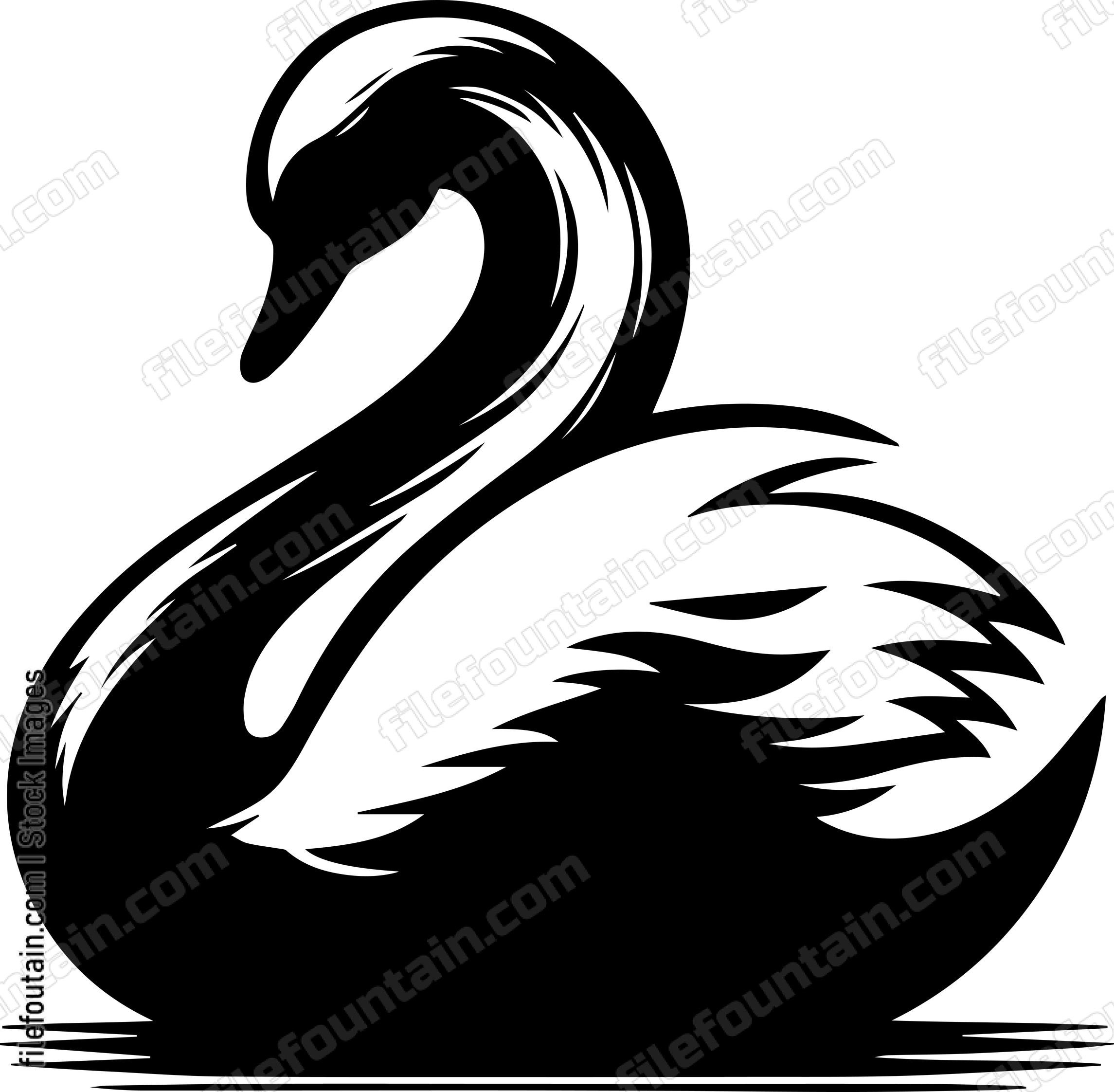 Swan