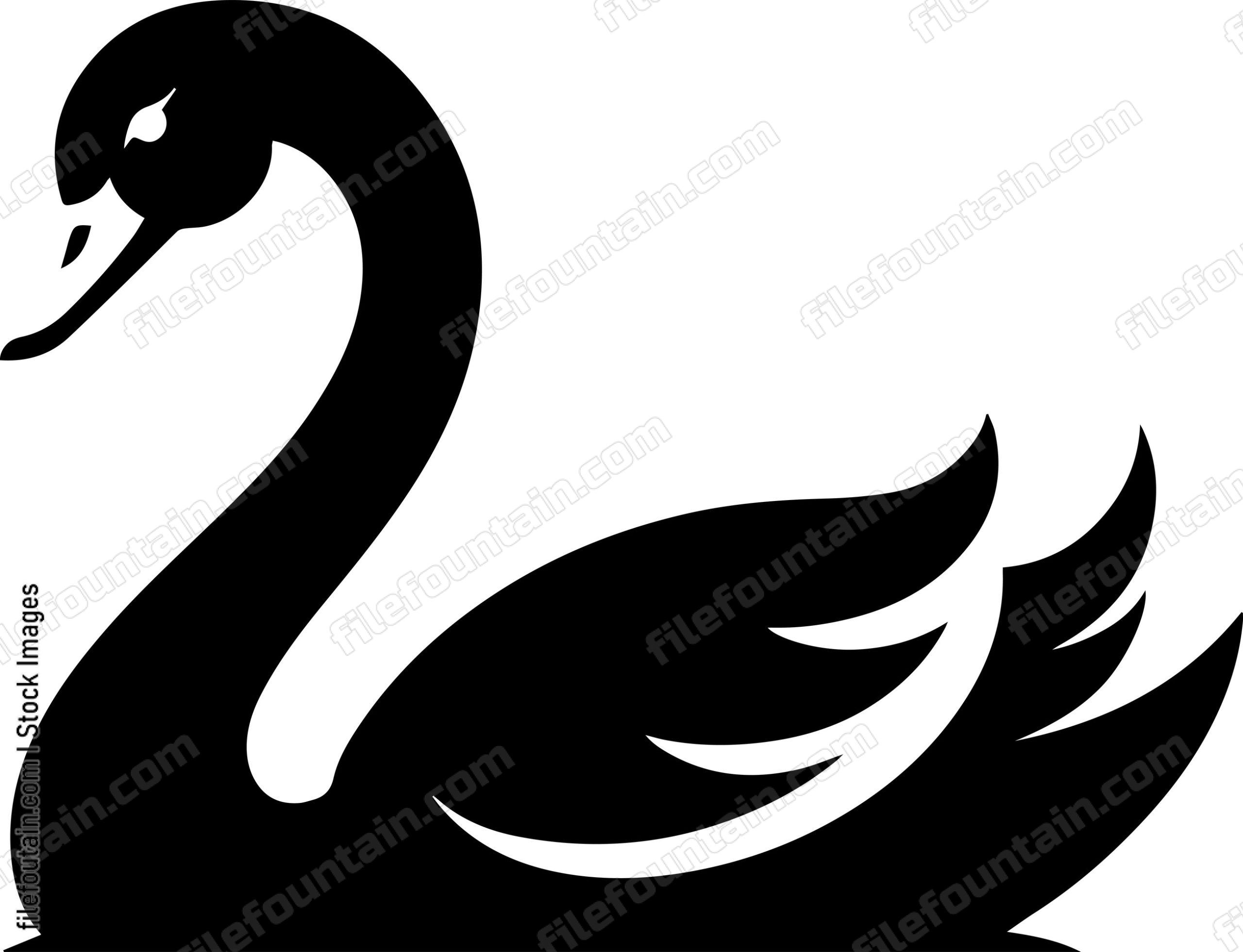 Swan