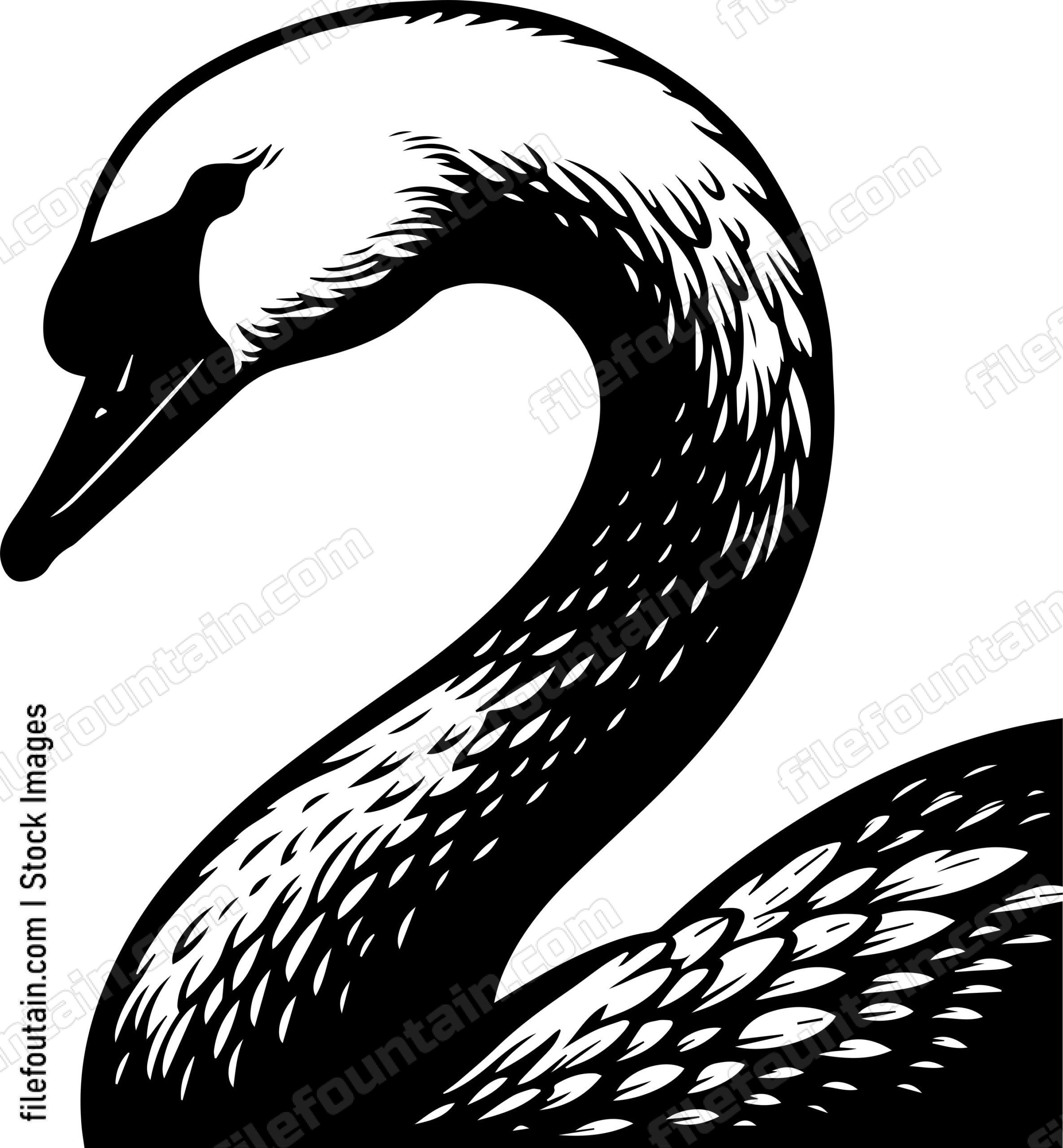 Swan