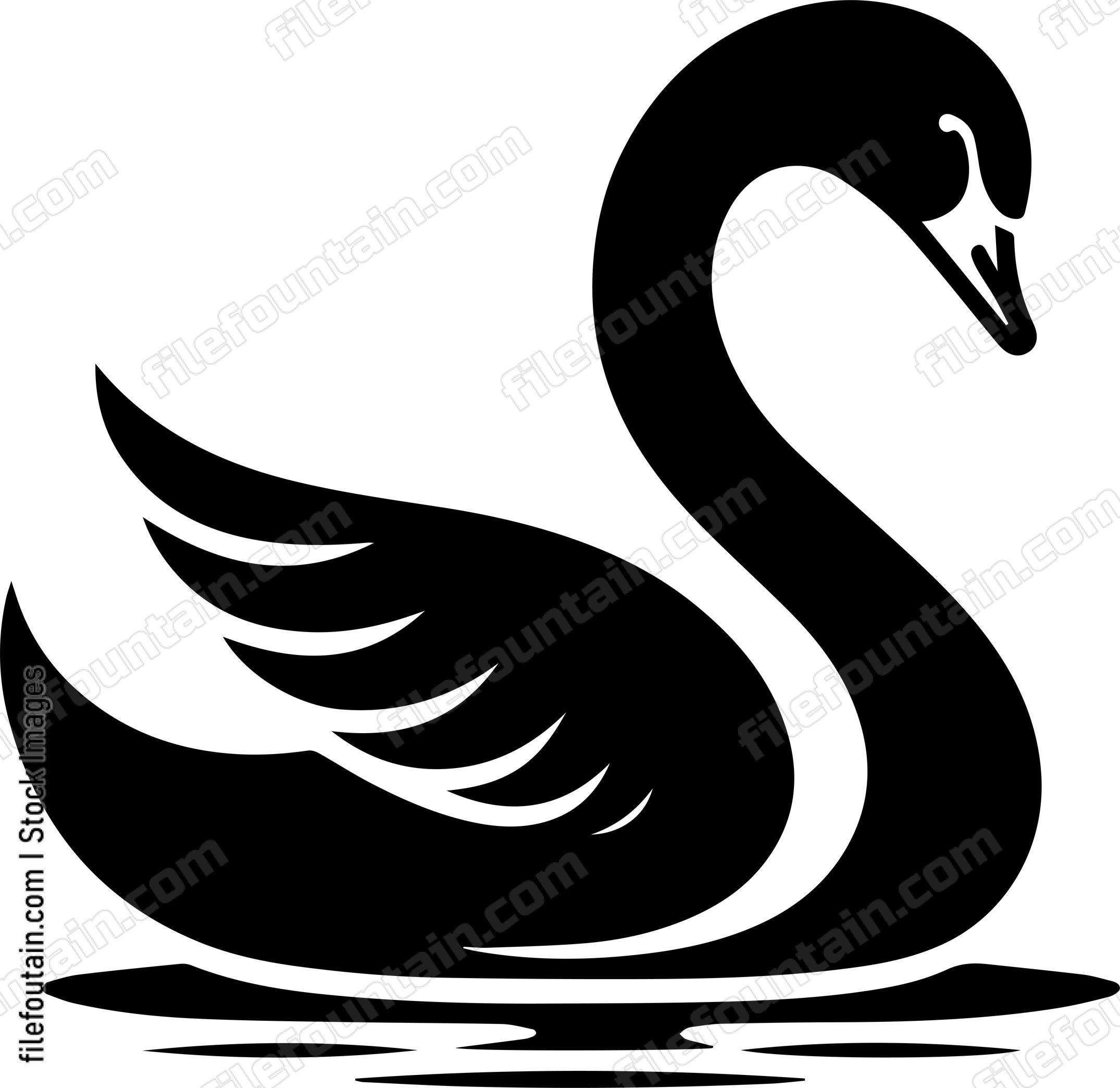 Swan