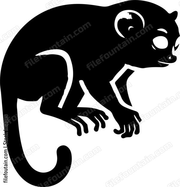Tarsier