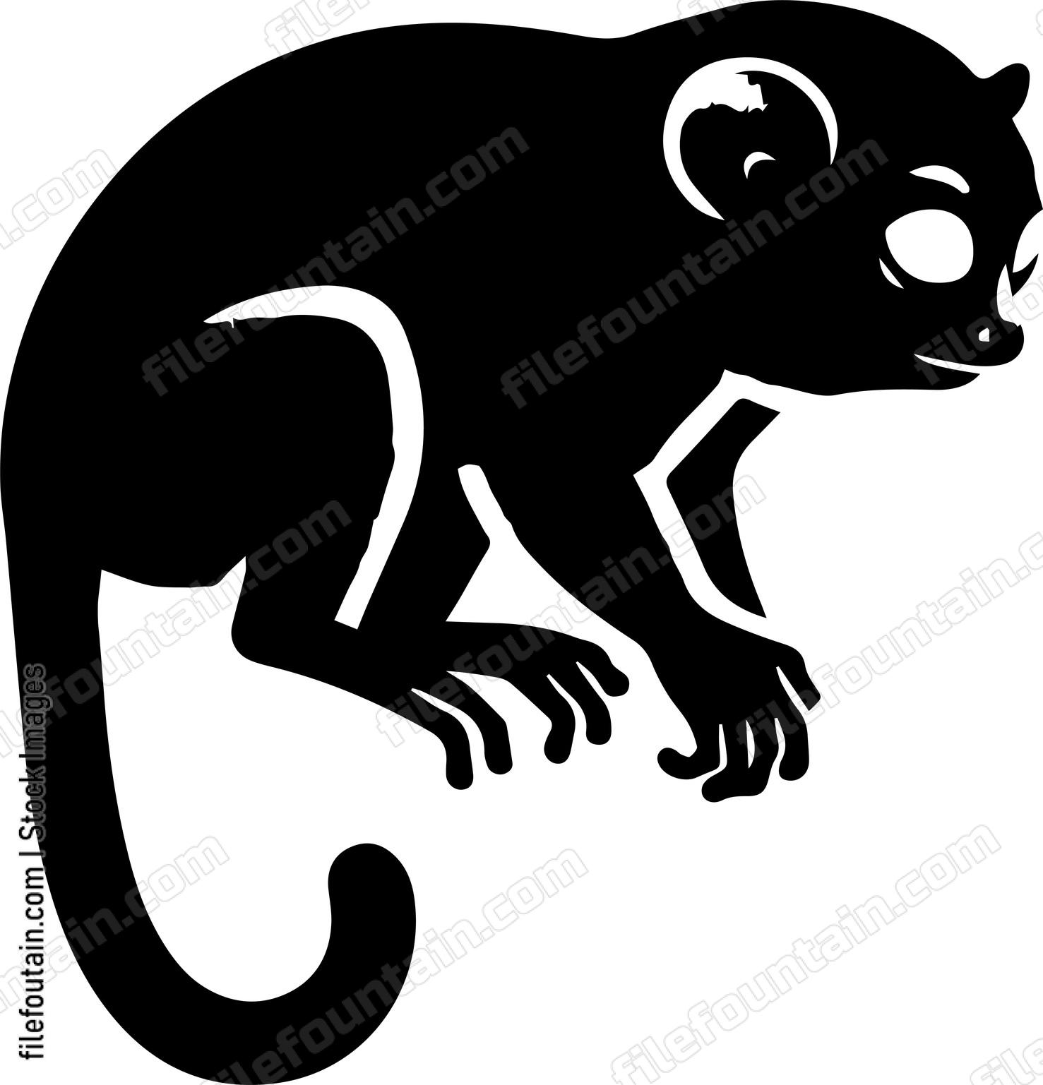 Tarsier