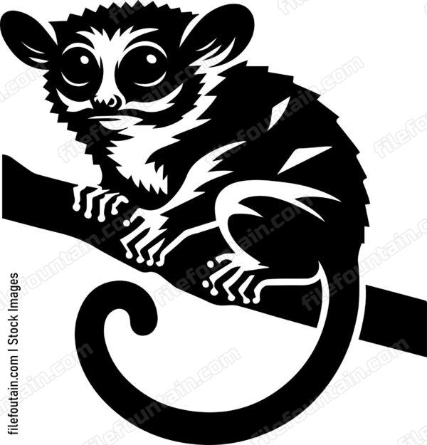 Tarsier