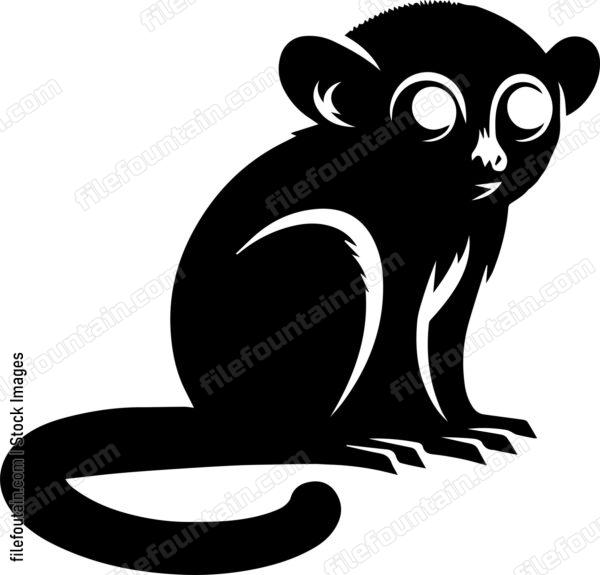 Tarsier