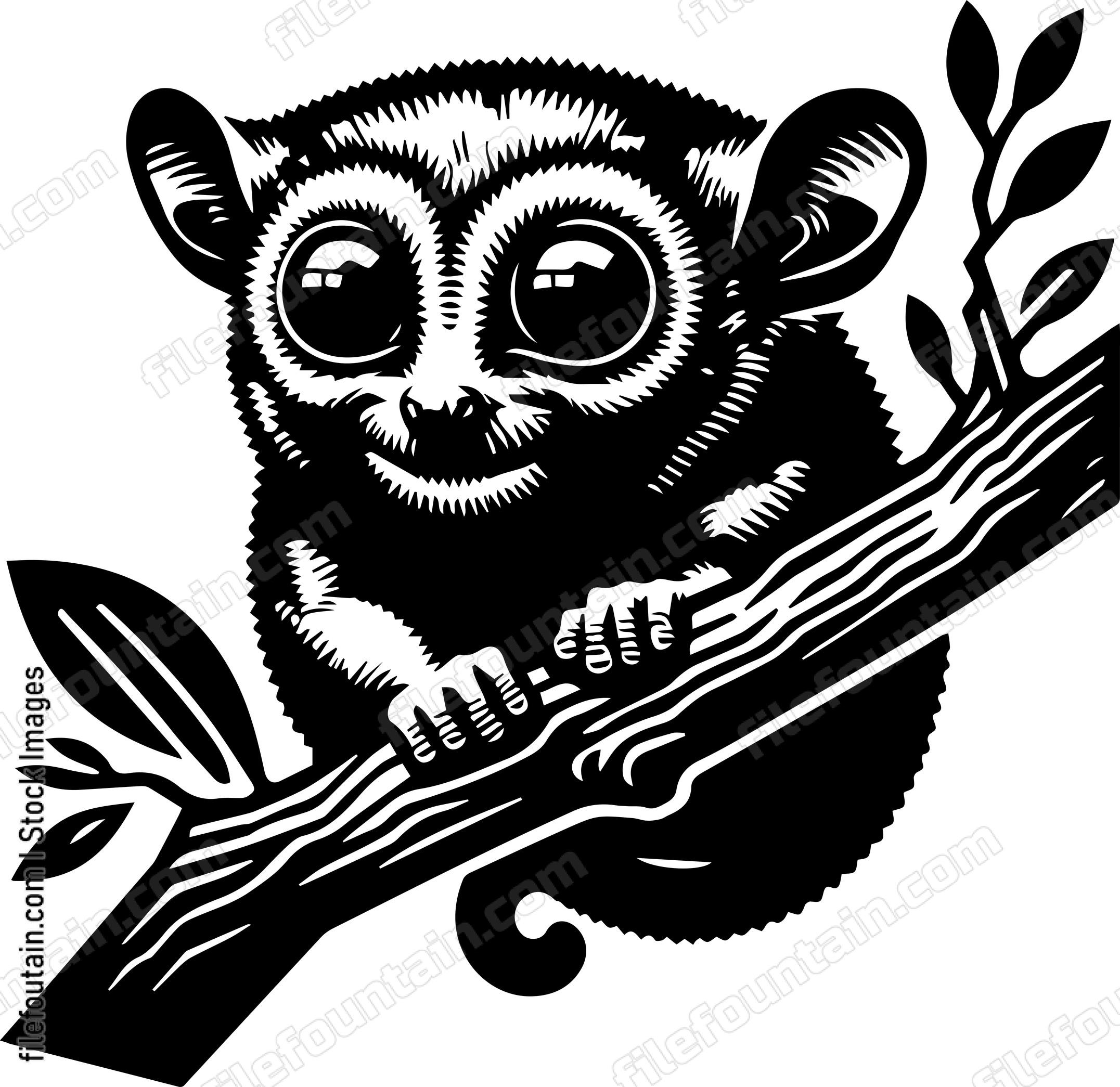 Tarsier