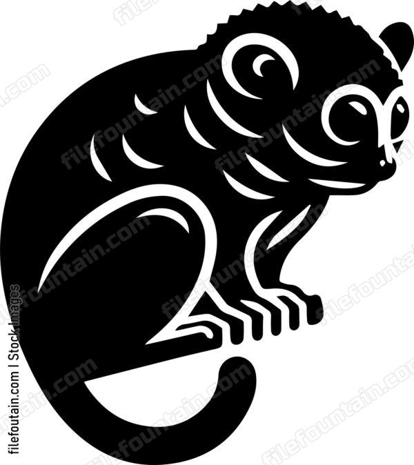 Tarsier