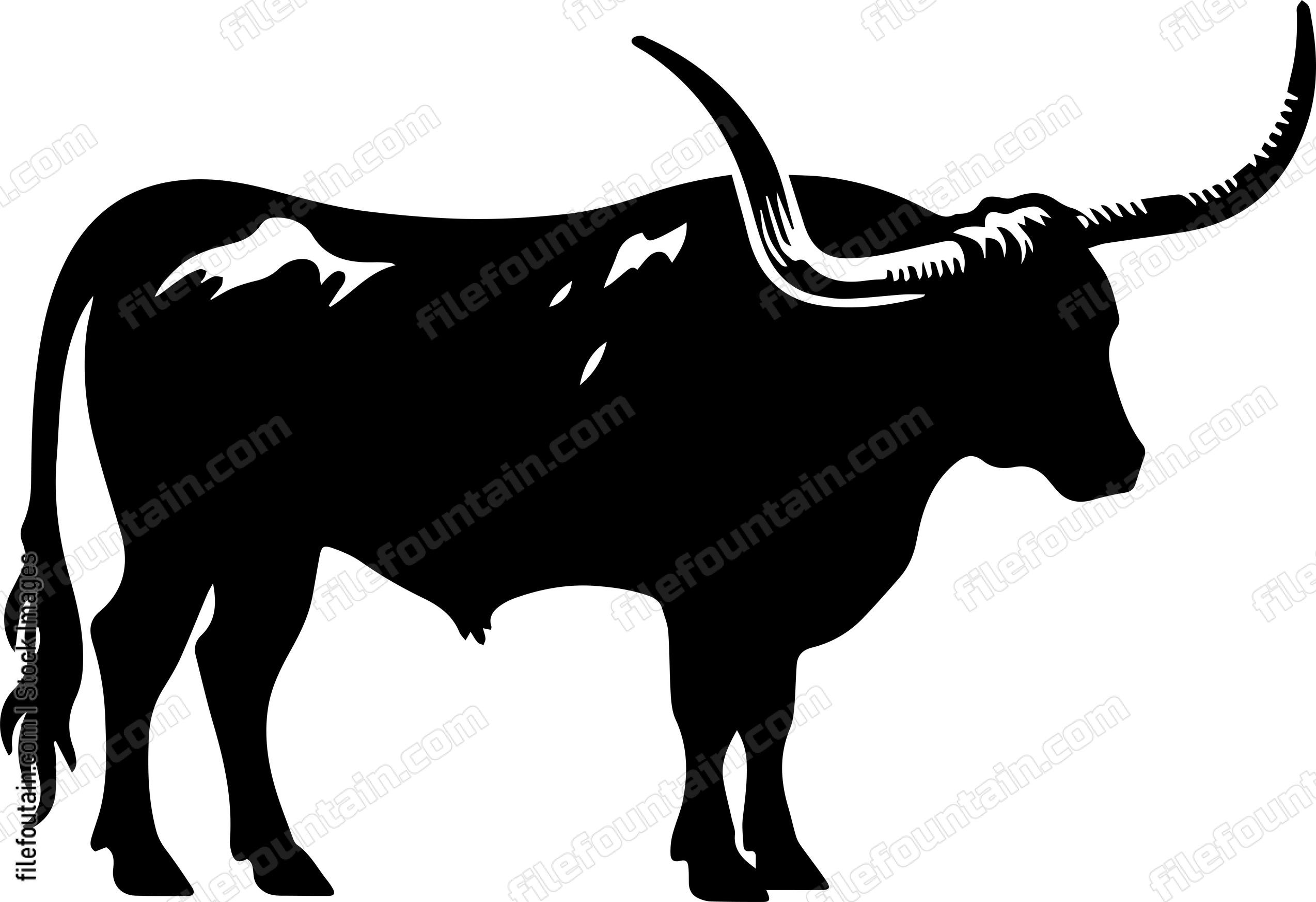 Texas Longhorn