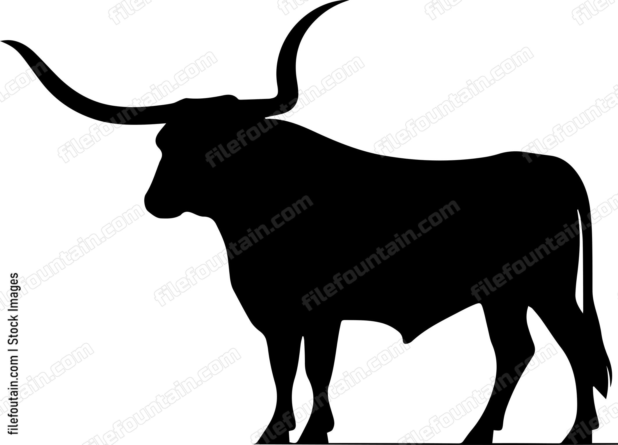 Texas Longhorn
