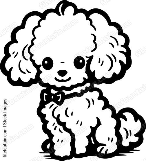 Toy Poodle