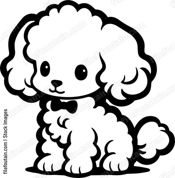 Toy Poodle