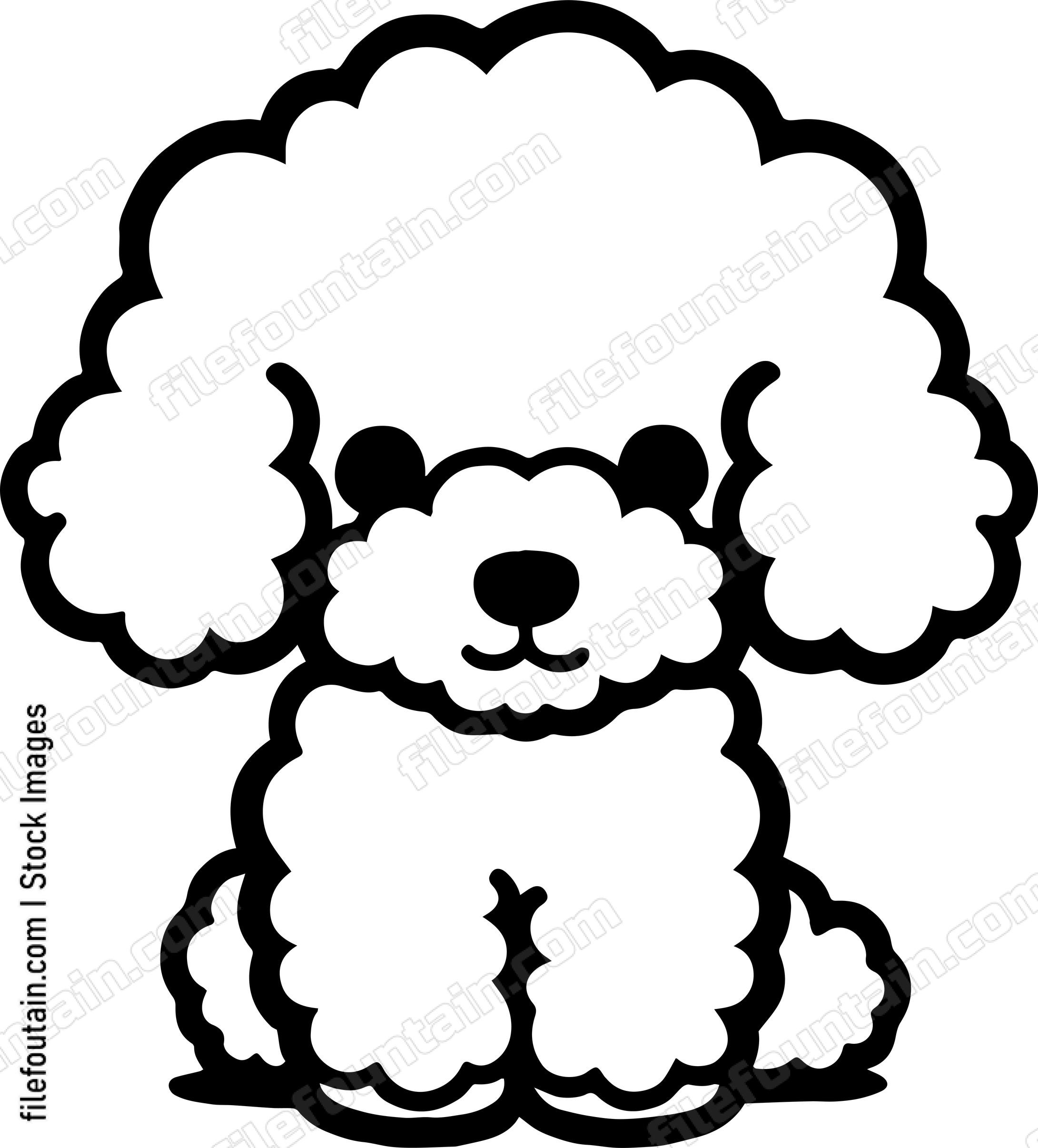 Toy Poodle
