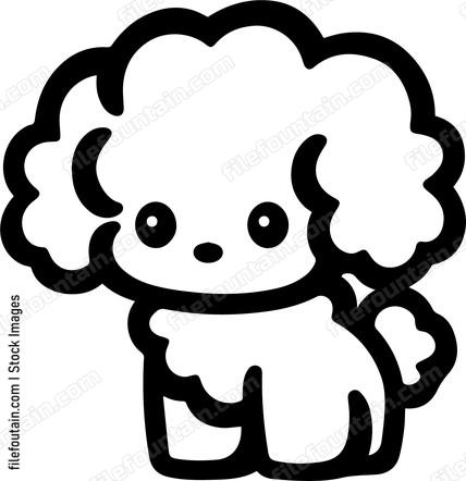 Toy Poodle