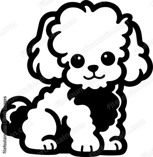Toy Poodle