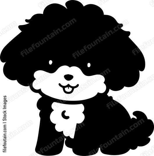 Toy Poodle