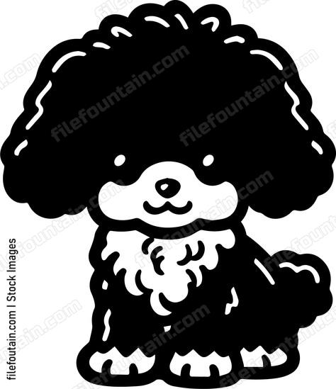Toy Poodle