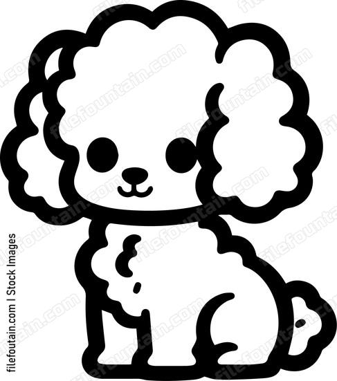 Toy Poodle