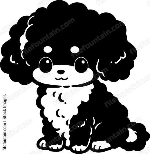 Toy Poodle