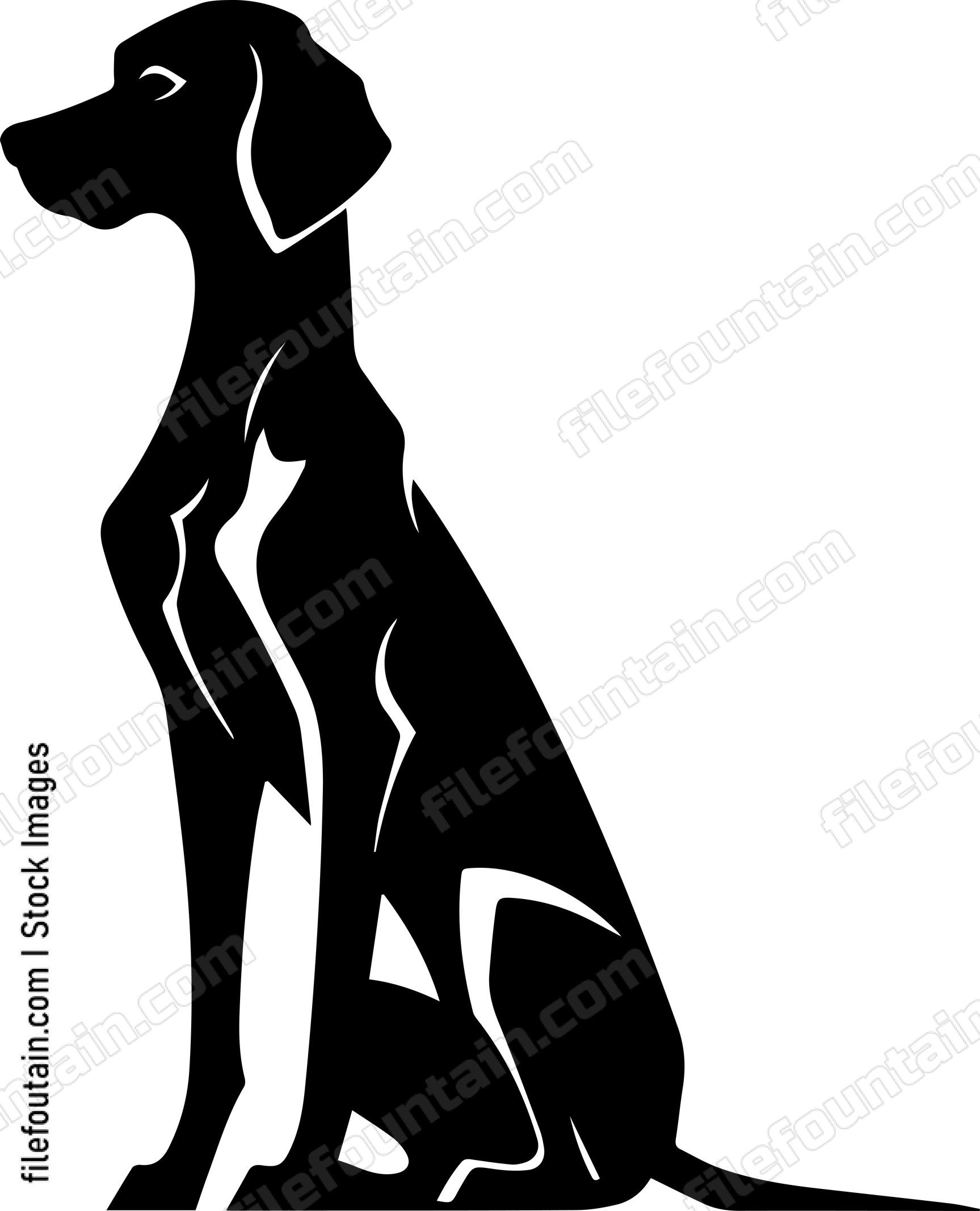 Vizsla