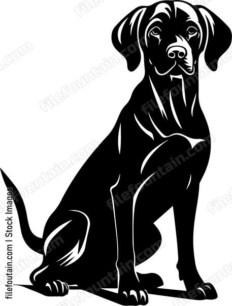 Vizsla