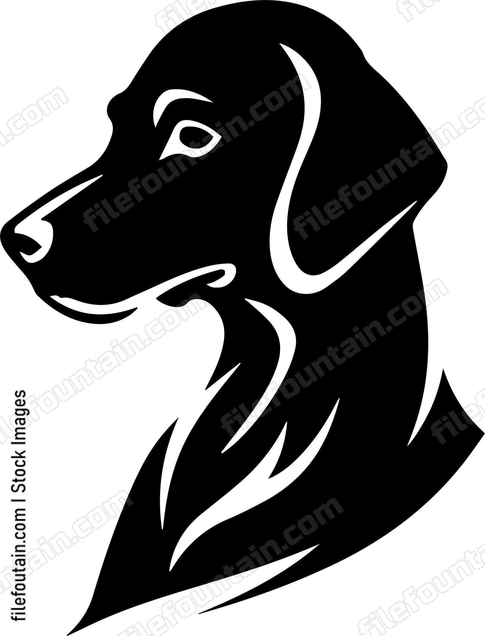 Vizsla