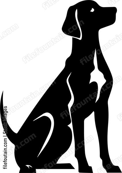 Vizsla