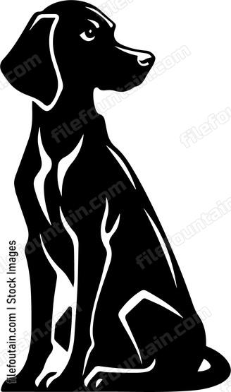 Vizsla