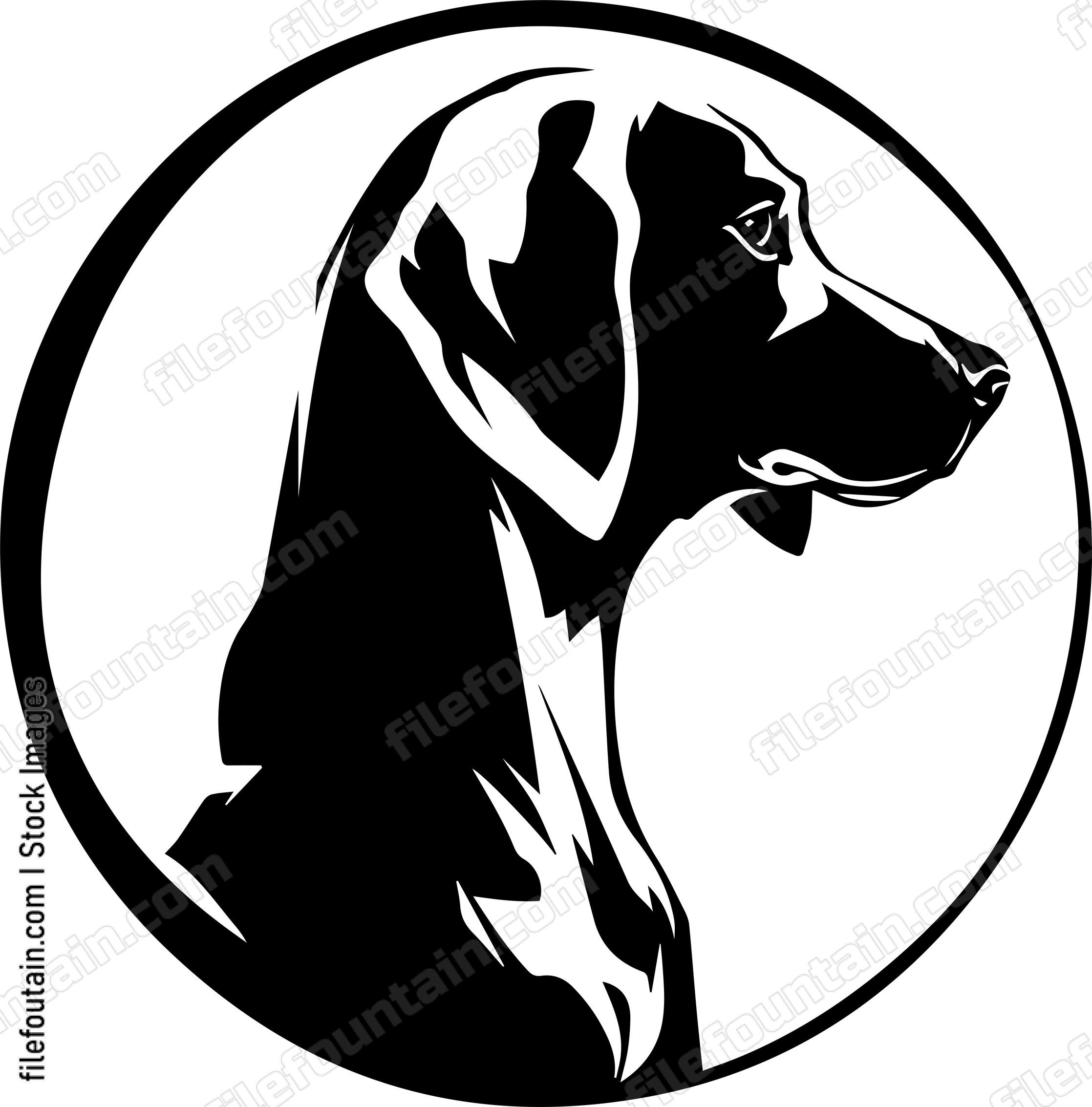 Vizsla