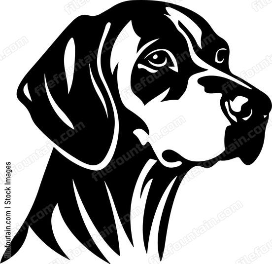 Vizsla