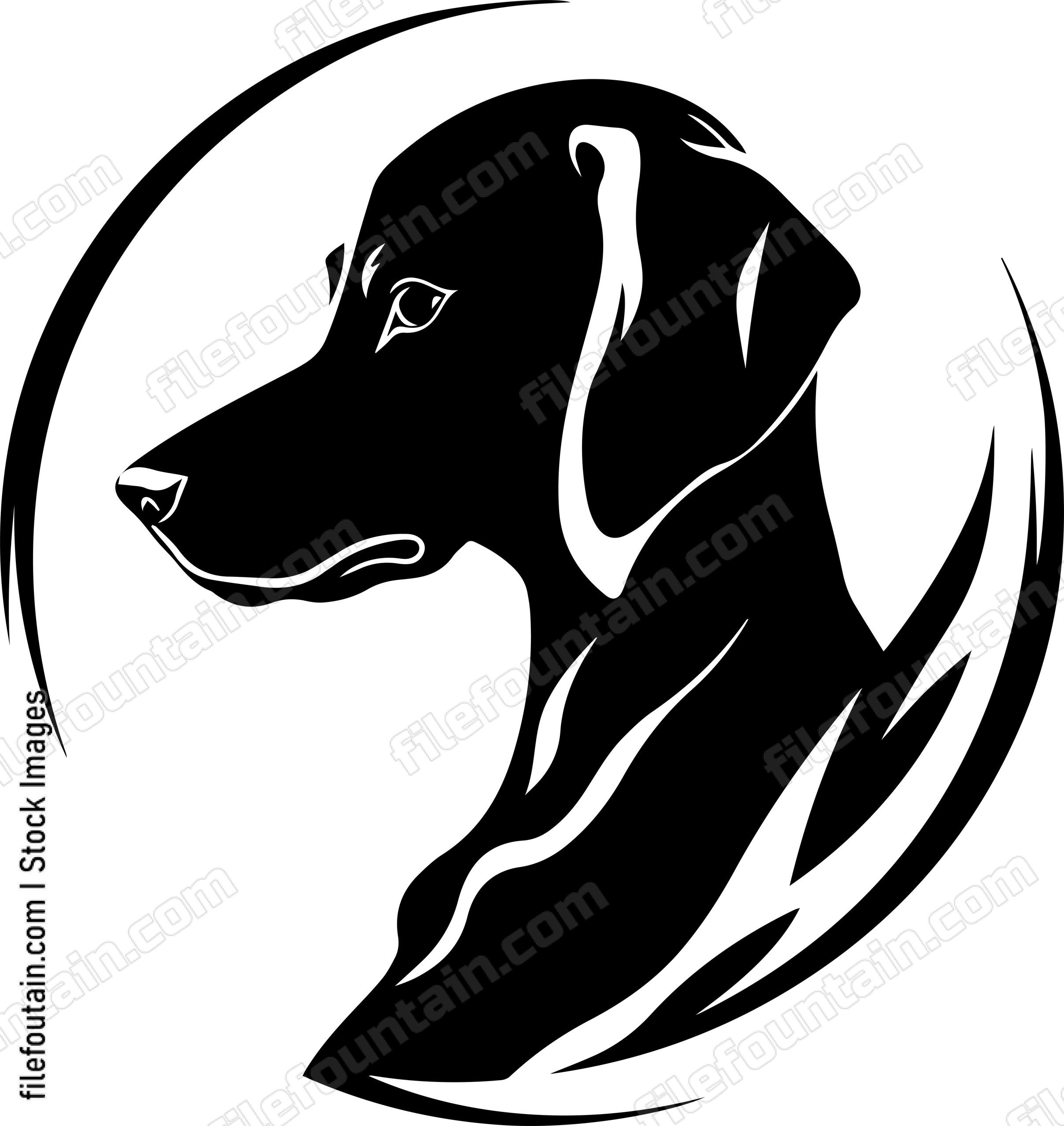 Vizsla