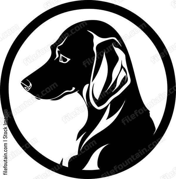 Vizsla