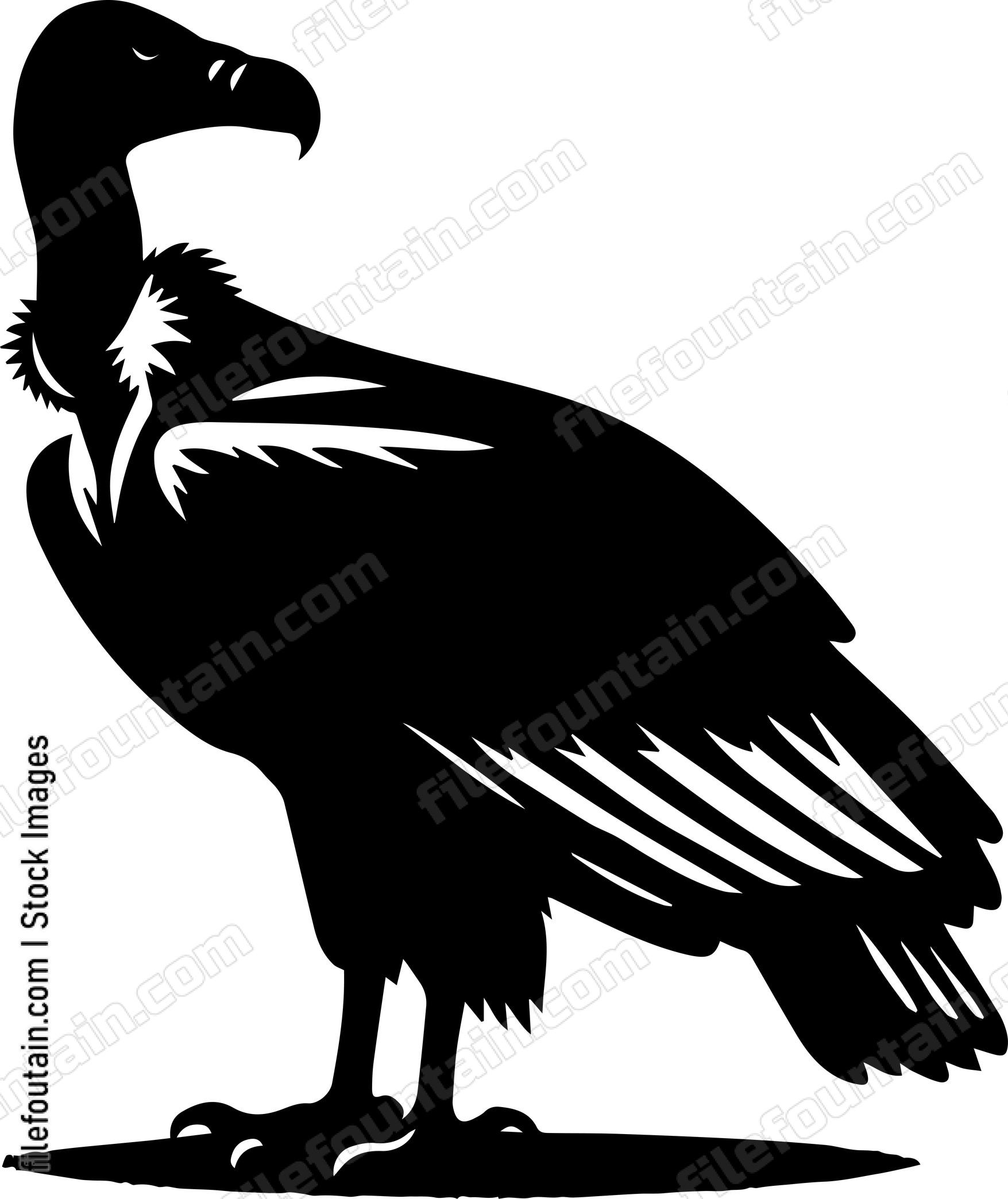 Vulture