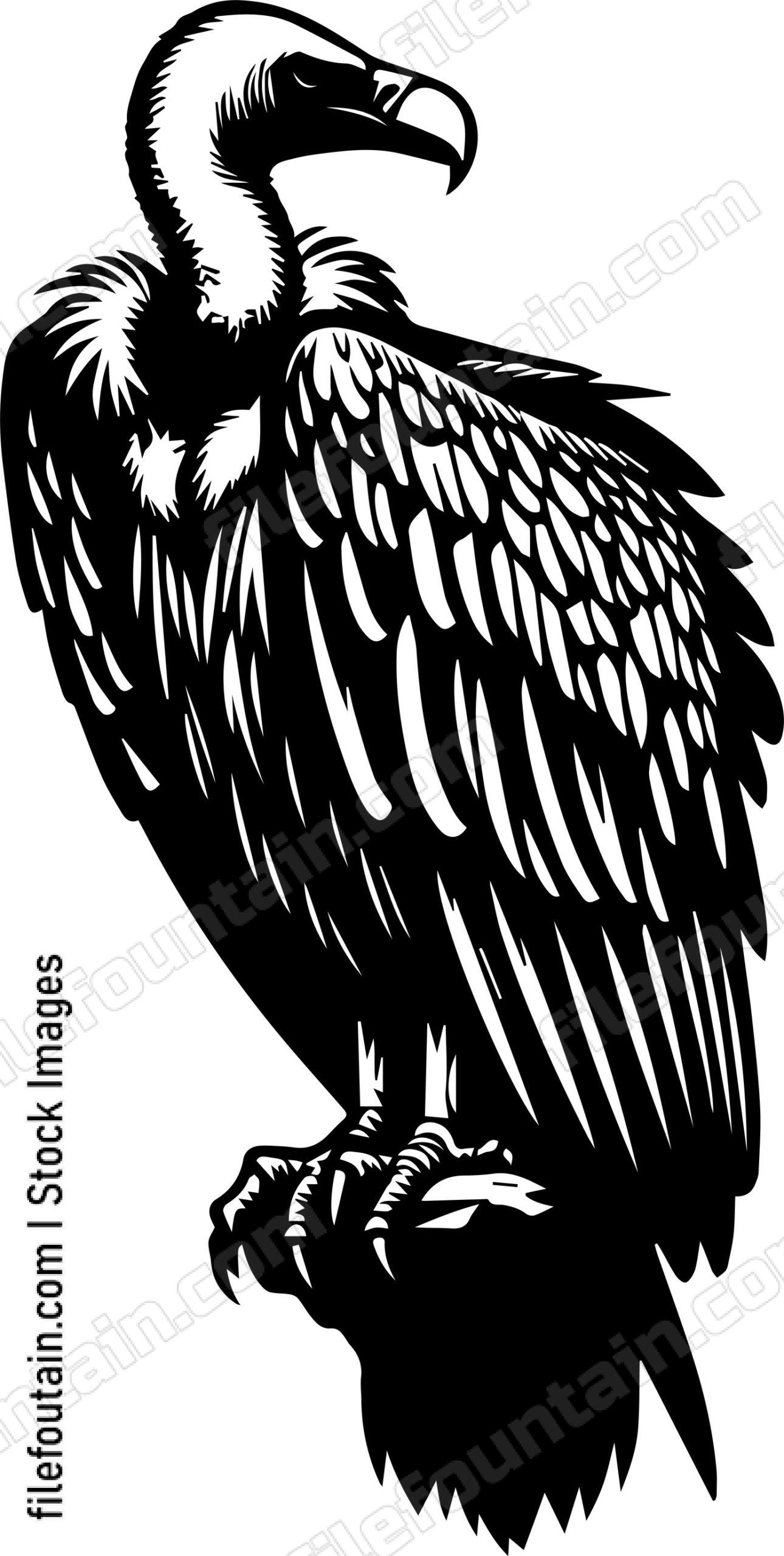 Vulture