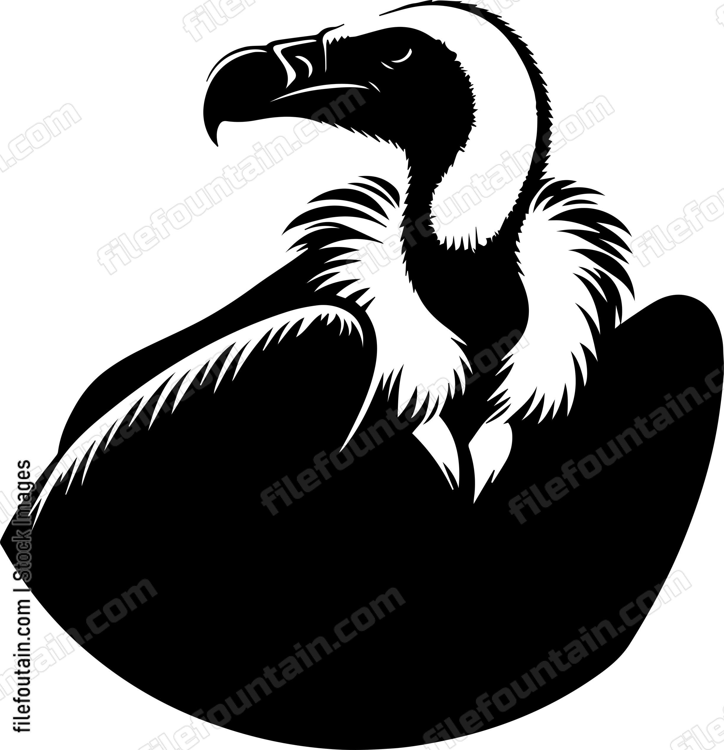 Vulture