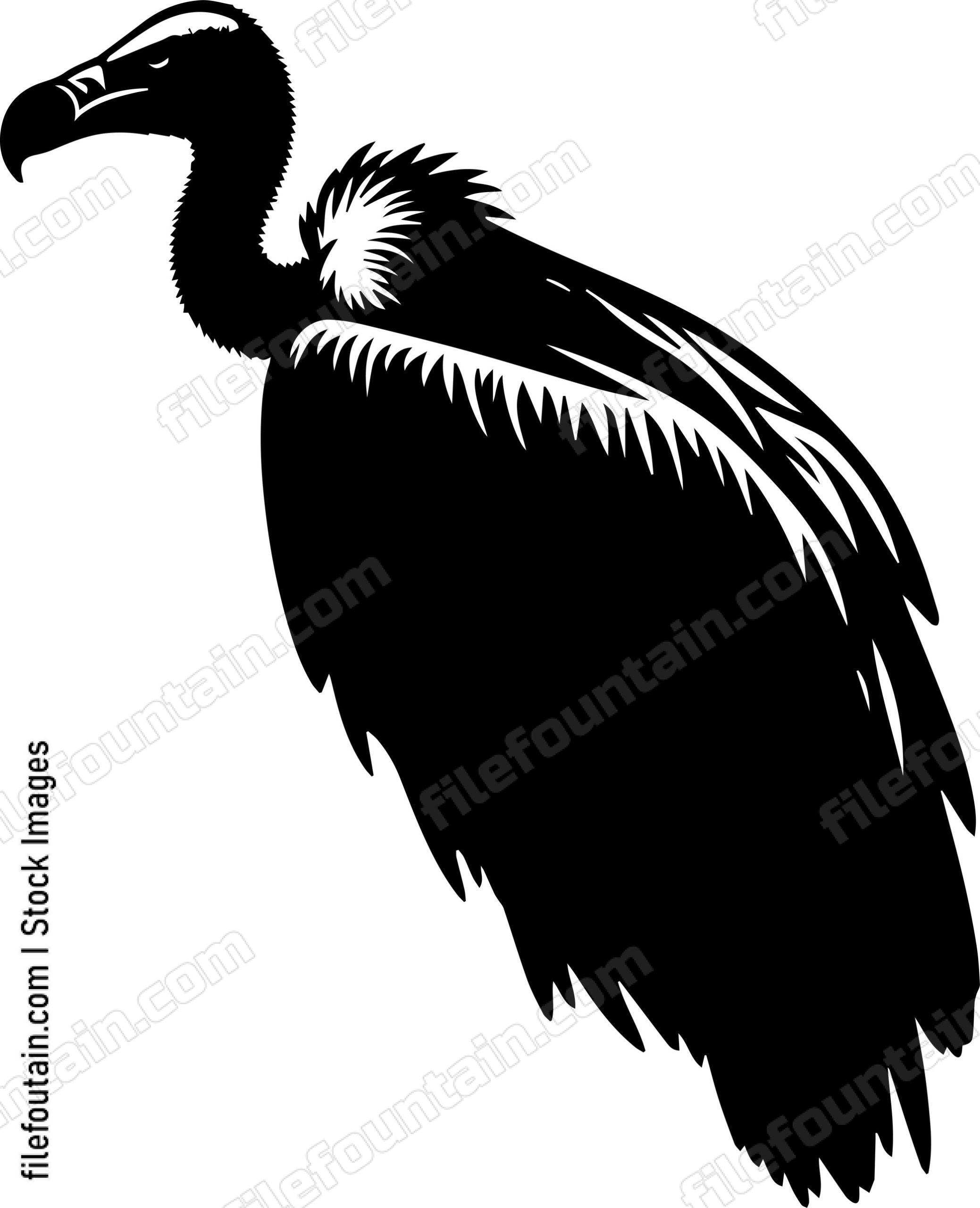 Vulture
