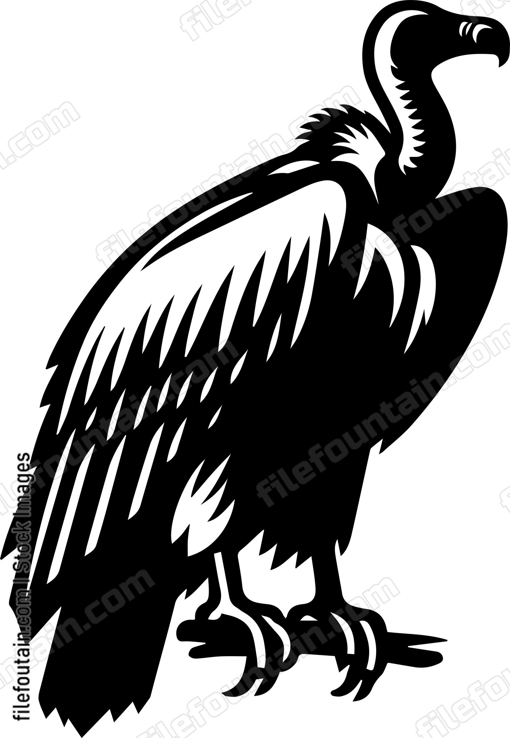 Vulture