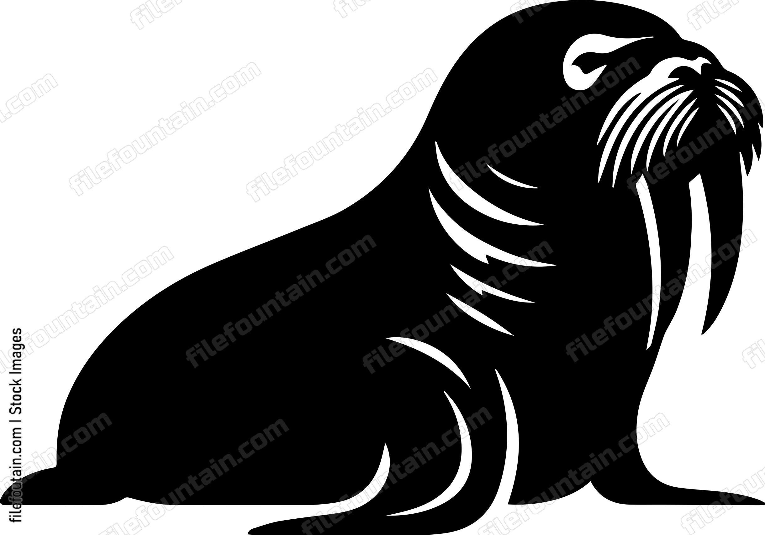 Walrus