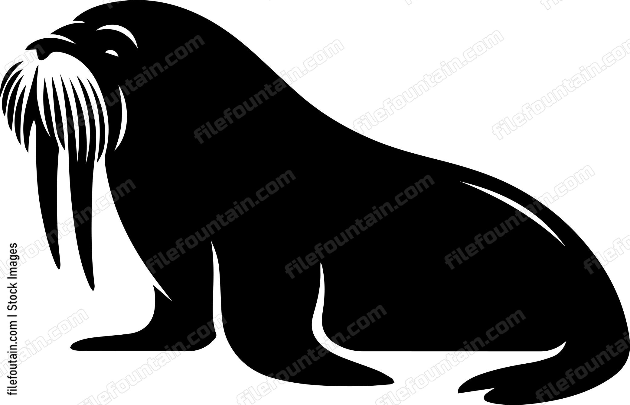 Walrus
