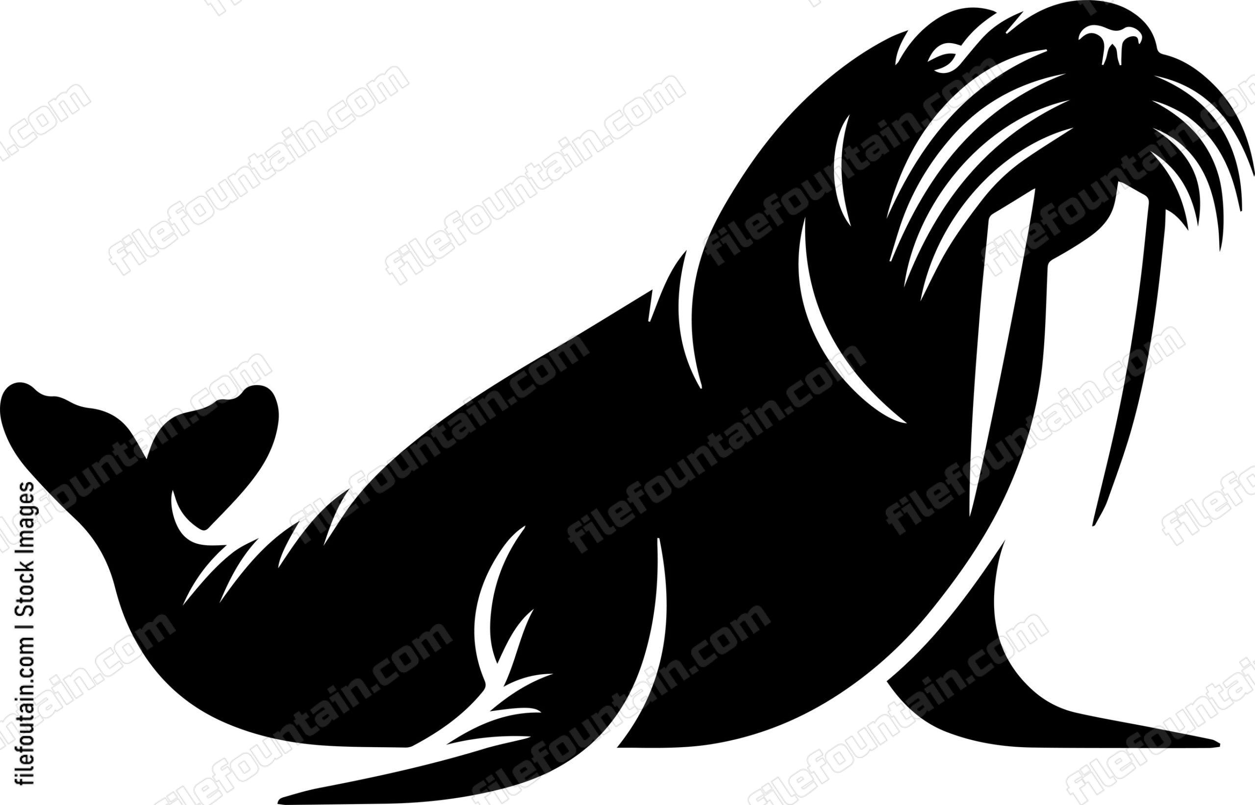 Walrus