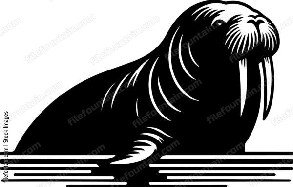 Walrus