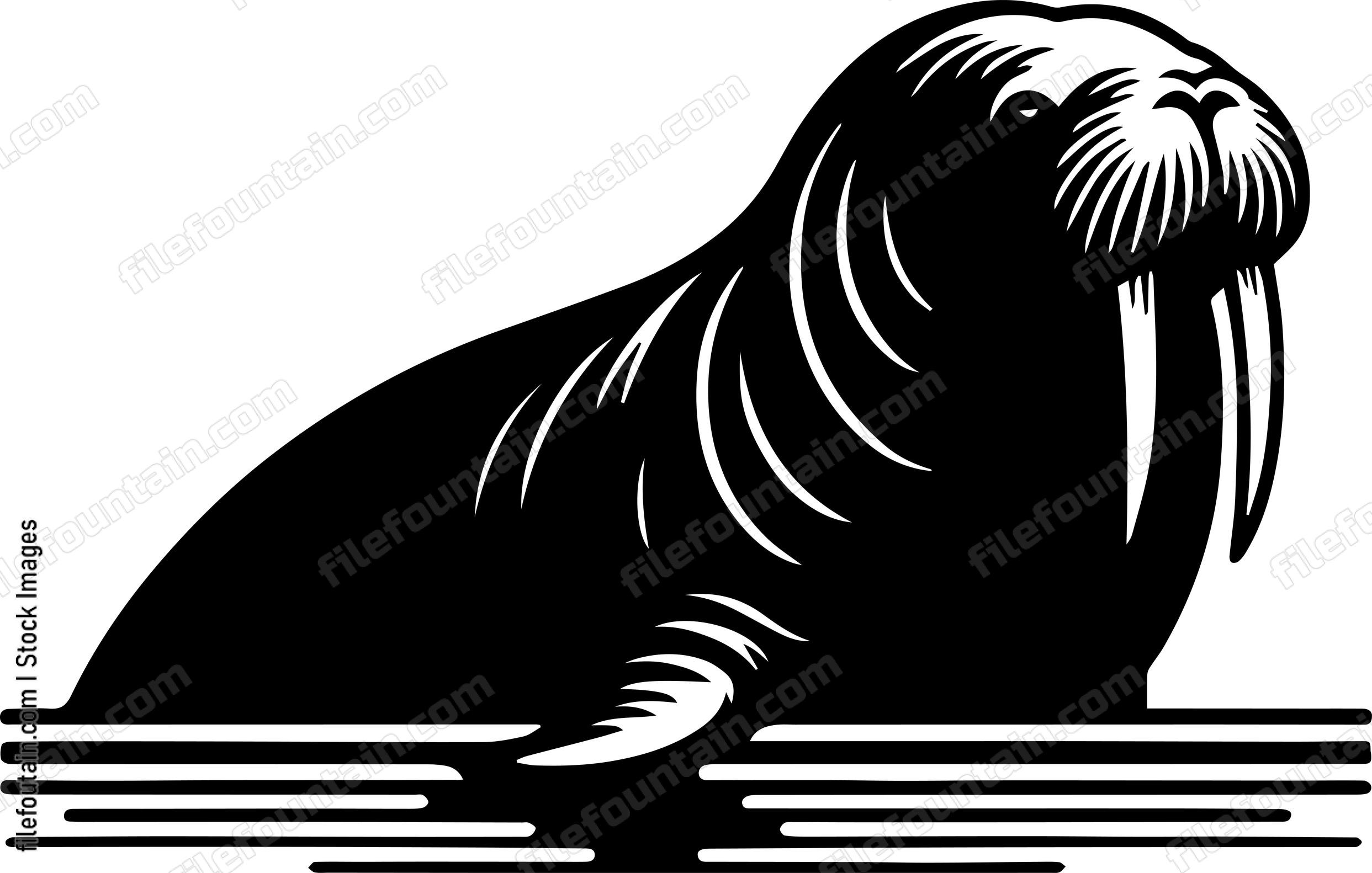 Walrus