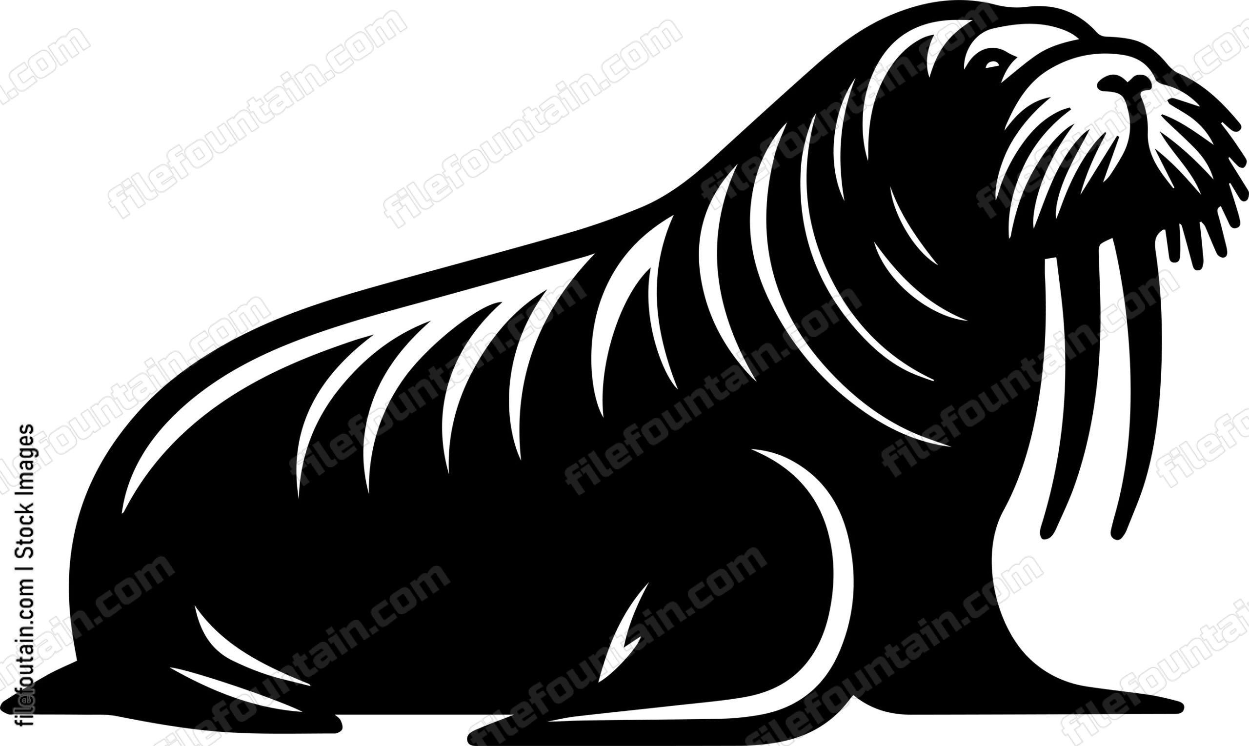 Walrus