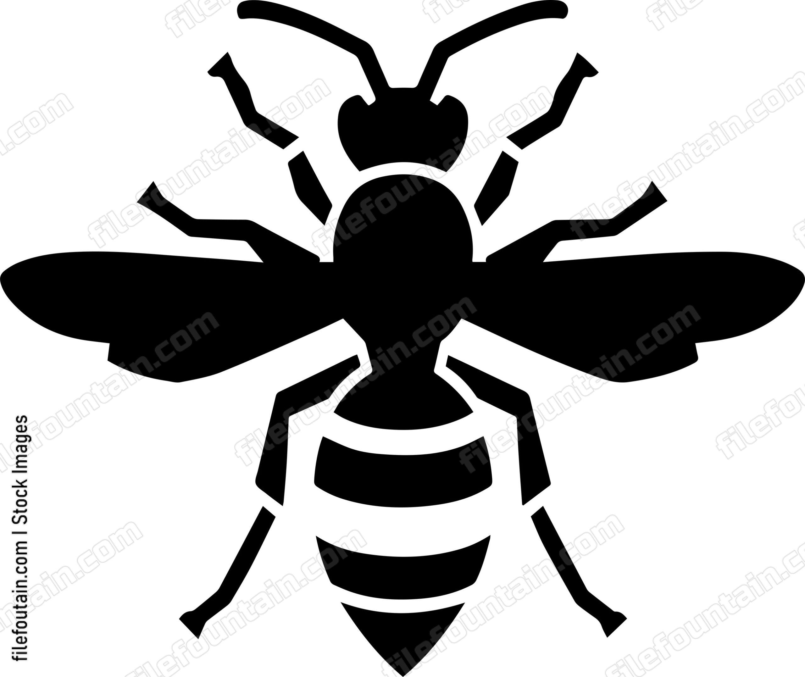 Wasp