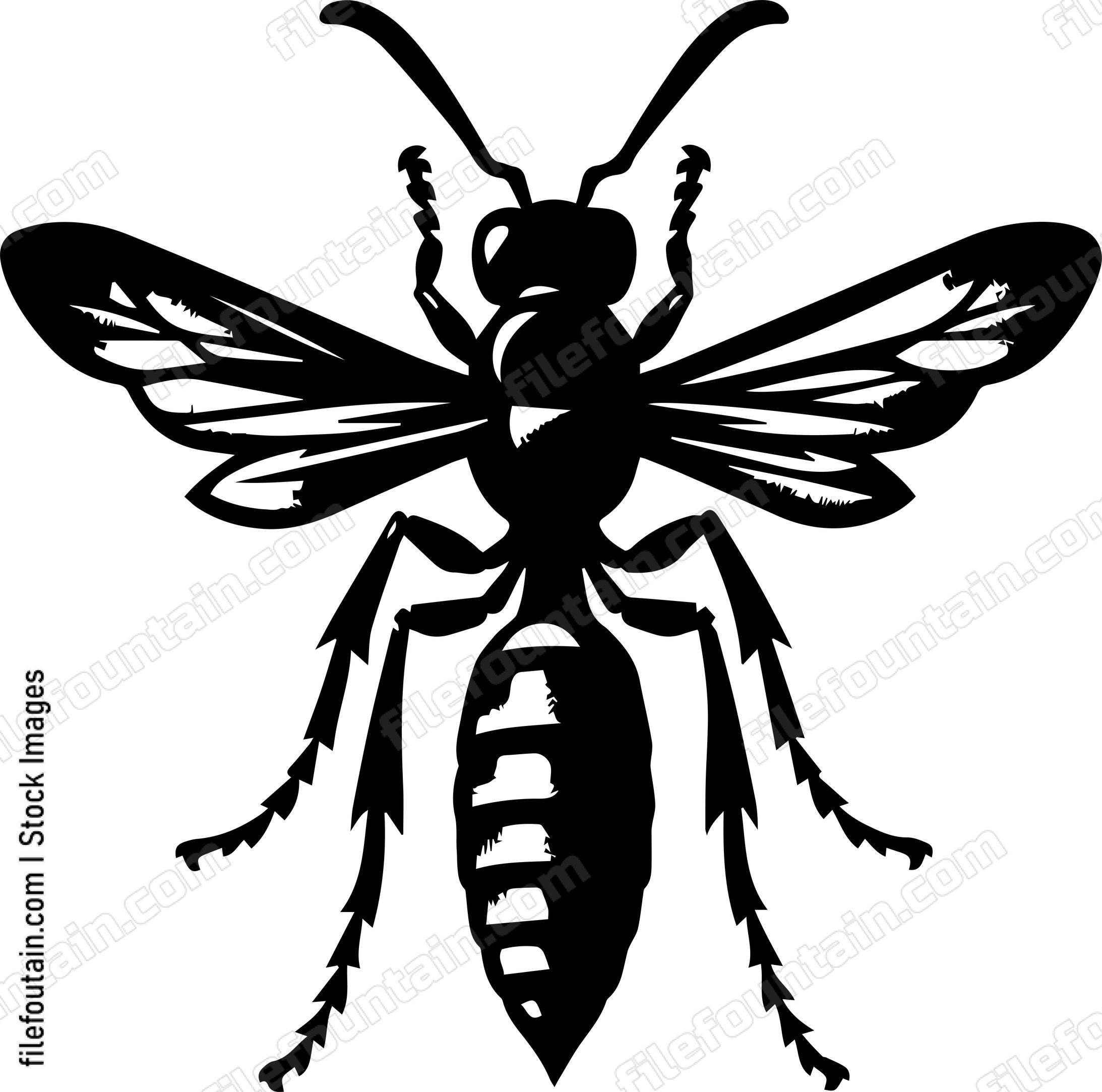Wasp