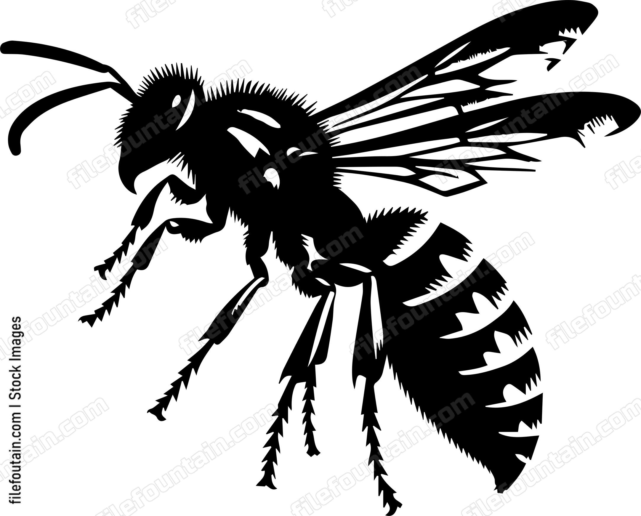 Wasp