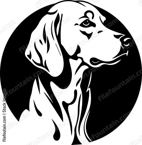 Weimaraner