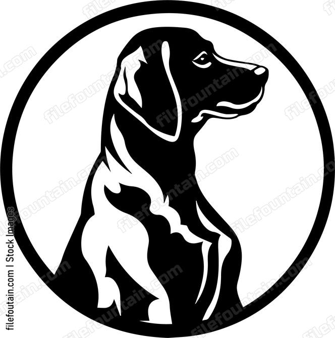 Weimaraner