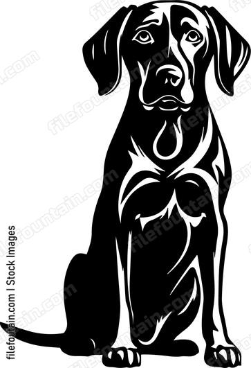Weimaraner