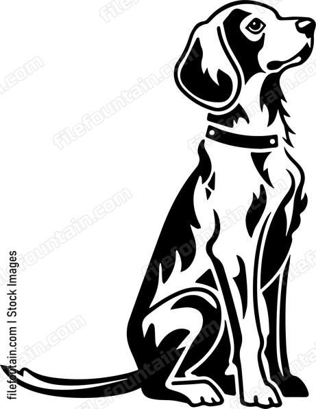 Weimaraner
