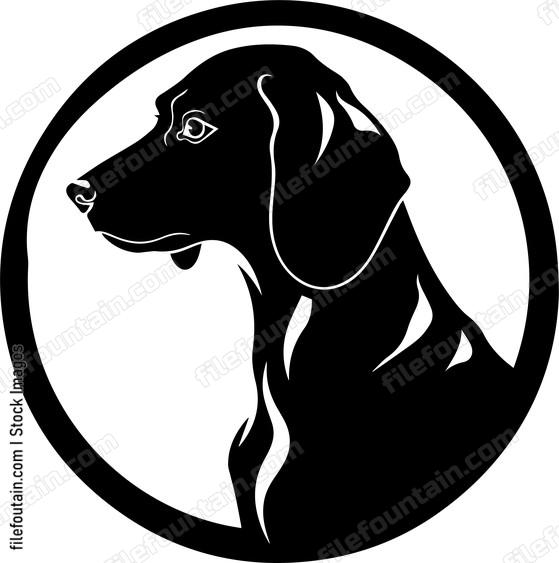 Weimaraner